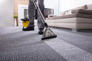 professional carpet cleaning Houston tx